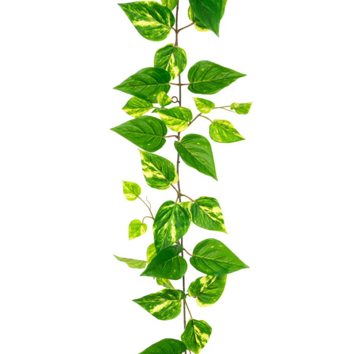Pothos Garland 152cm UV Protected
