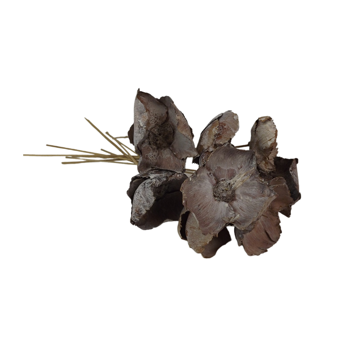 Palm Cup Stone Washed White On Stem x 10pcs