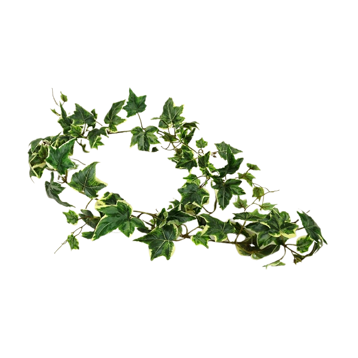 Variegated Ivy Garland 152cm UV Protected