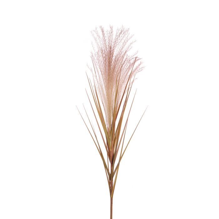 Reed Spray 77cm Brown