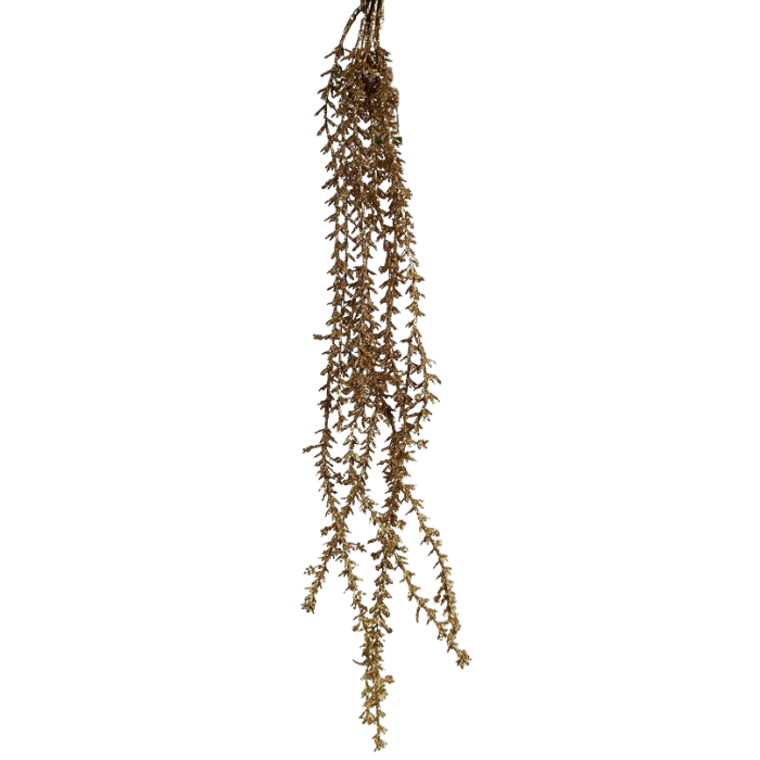 Asparagus W/Gold Glitter 80cm