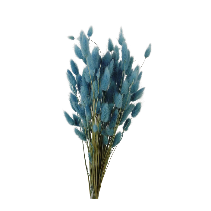 Lagarus/Bunny Tails Aquamarine 50g