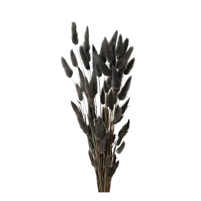 Lagarus/Bunny Tails Anthracite 50g