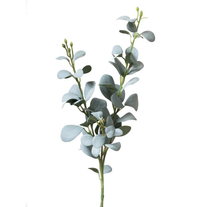ECO Eucalyptus Stem Green/Grey 57cm