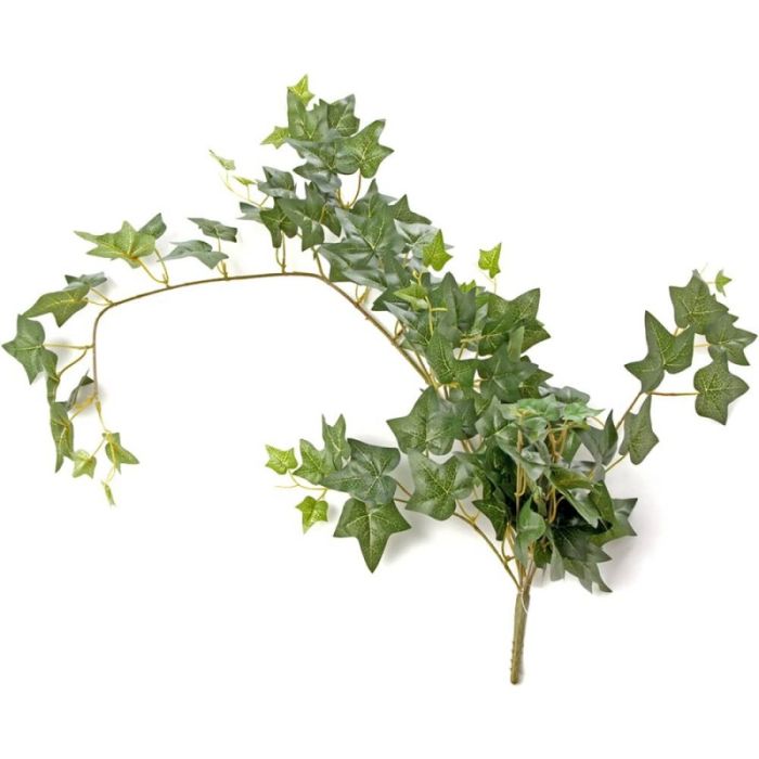 Ivy Bush Green 85cm Long
