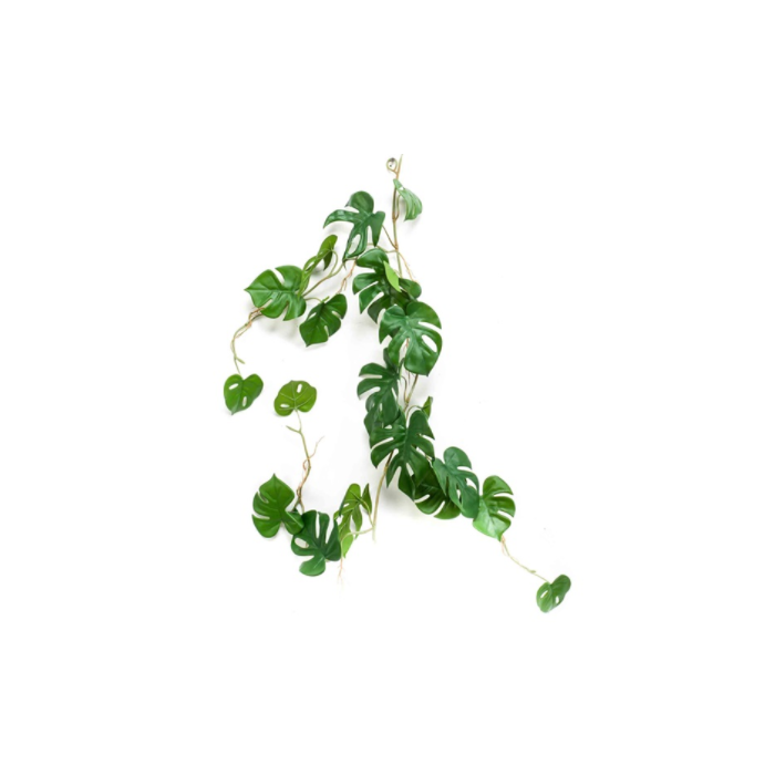 Monstera Vine 110cm