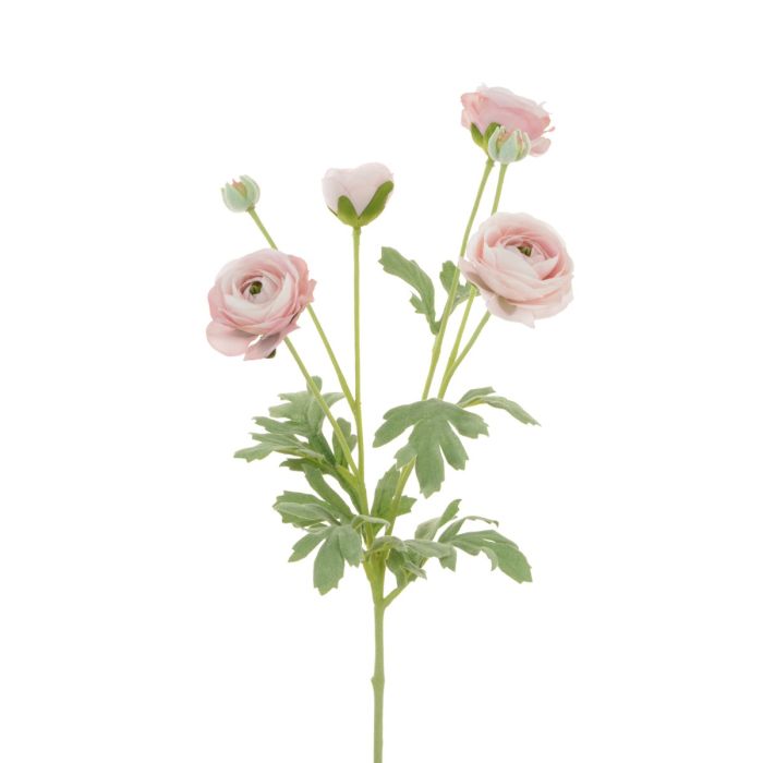 ECO Ranunculus Spray 67cm Pink