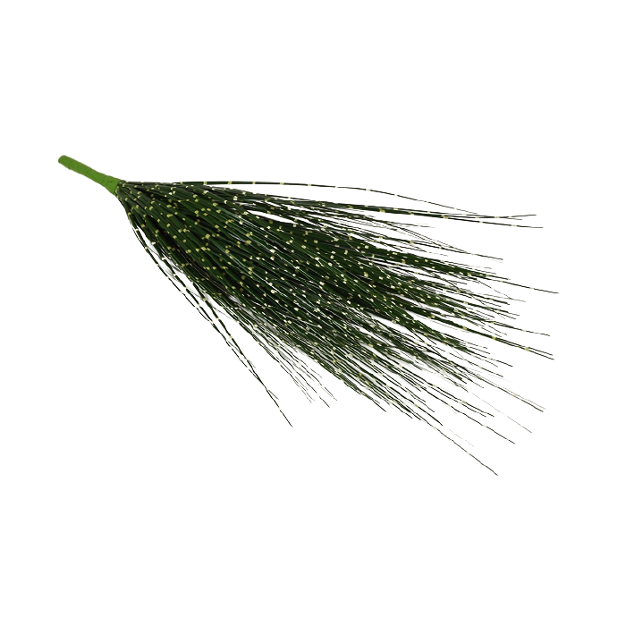 Zebrinus Grass Bush