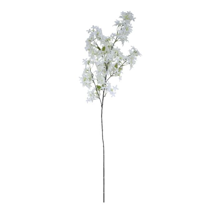 Jasmine Flower