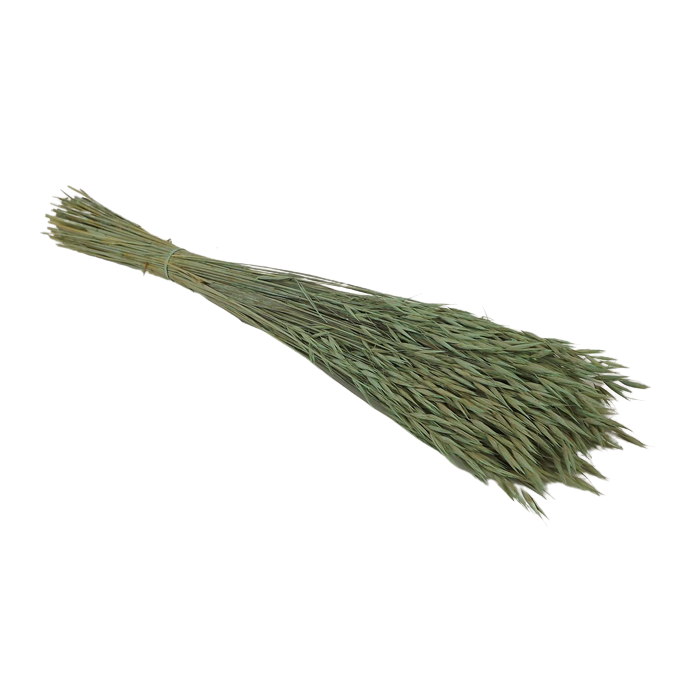 Avena Sativa (Oats) Dusty Green x 200g
