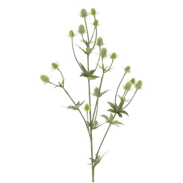Thistle Spray Green 81cm