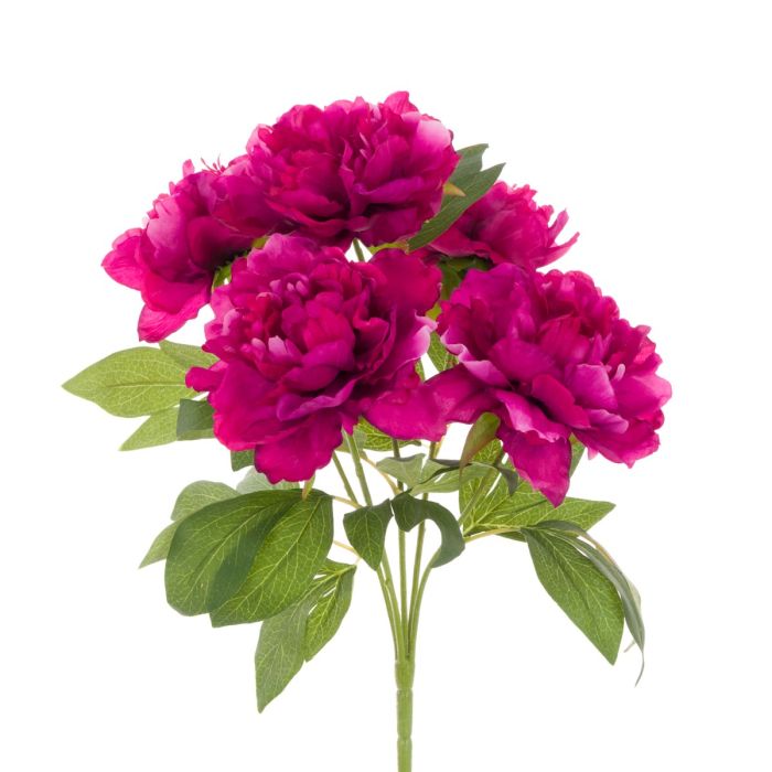 Peony Bush Beauty - 47cm