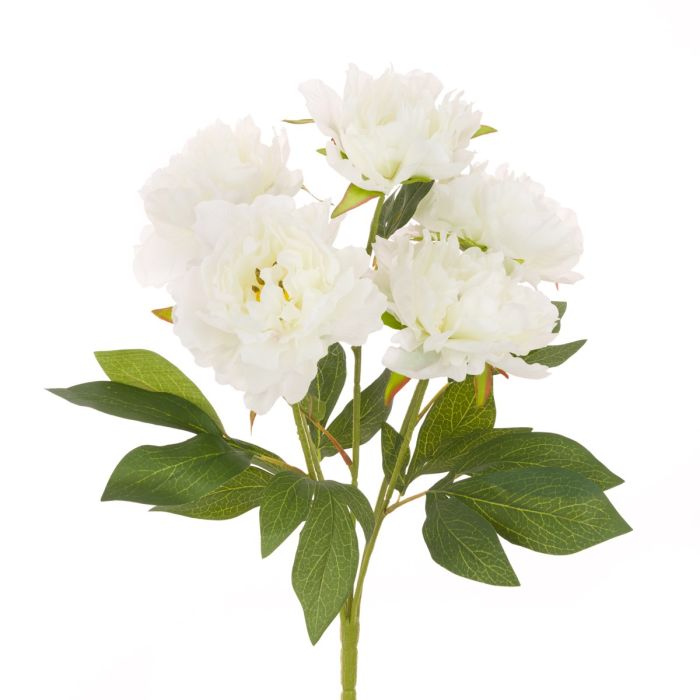 Peony Bush White - 47cm
