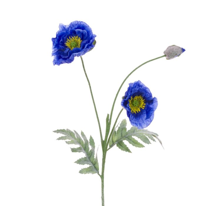 Himalayan Poppy Spray 74cm Blue
