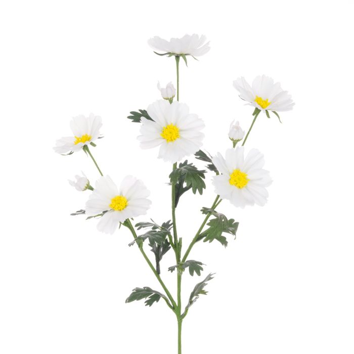 Meadow Cosmos Spray 85cm White