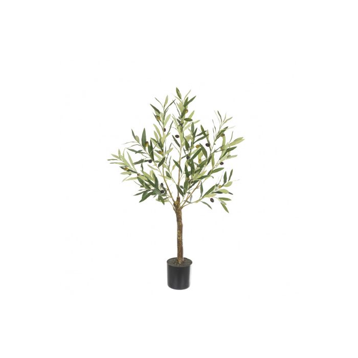 Olive Tree In Pot 90cm