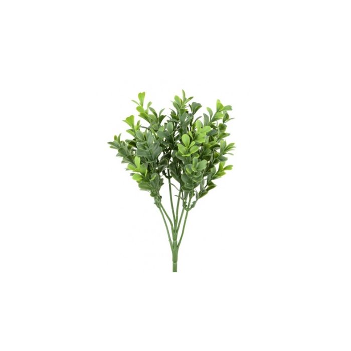 New Boxwood Pick 25cm UV