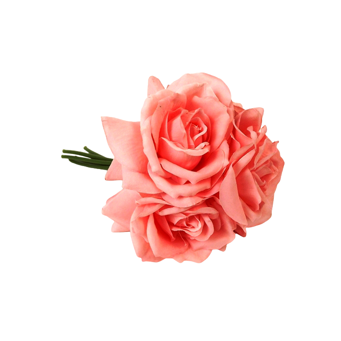 27cm Mid Coral Open Rose Posy x 5 Heads