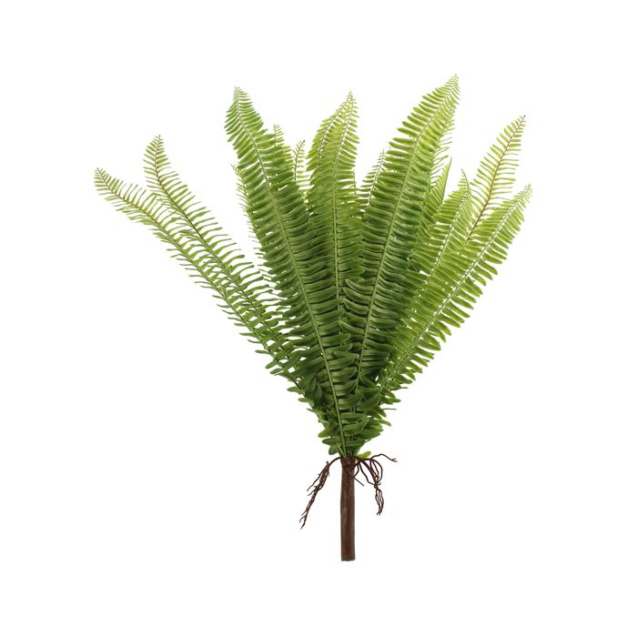 60cm Adiantum Fern Bush