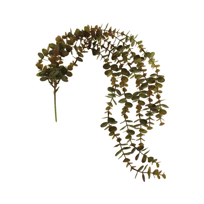 80cm Trailing Eucalyptus Vine Brown