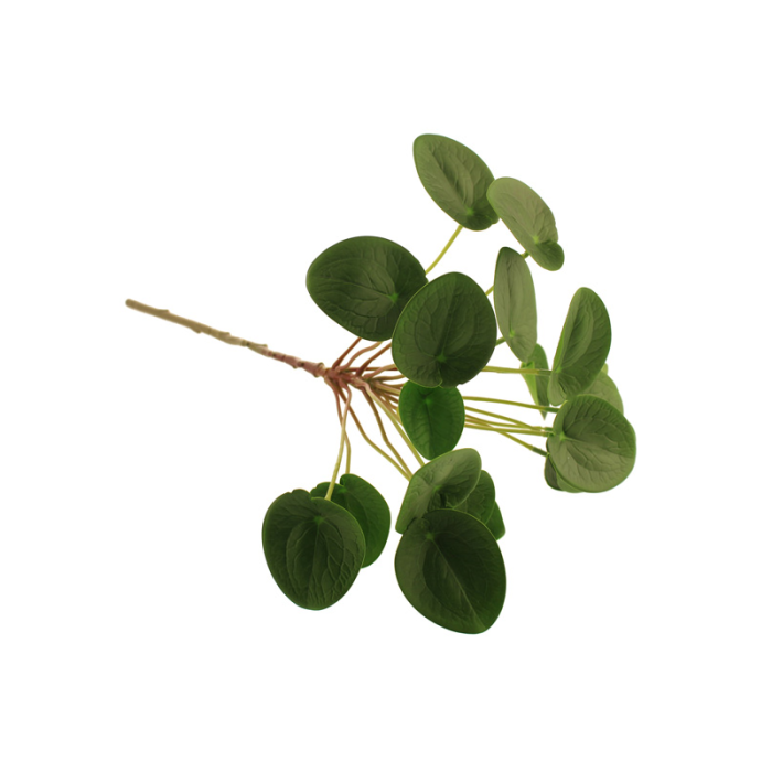 50cm Chinese Money Spray Green