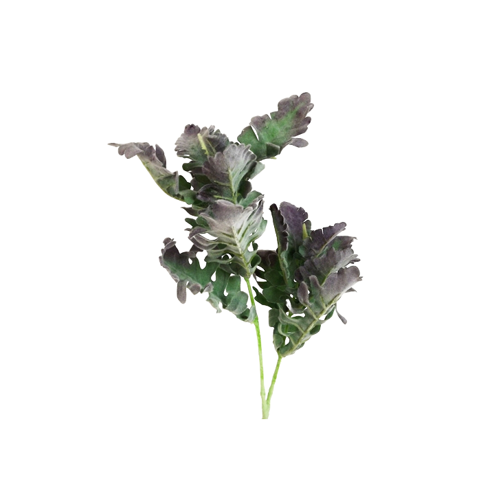 74cm Dusty Miller Spray Green/Purple