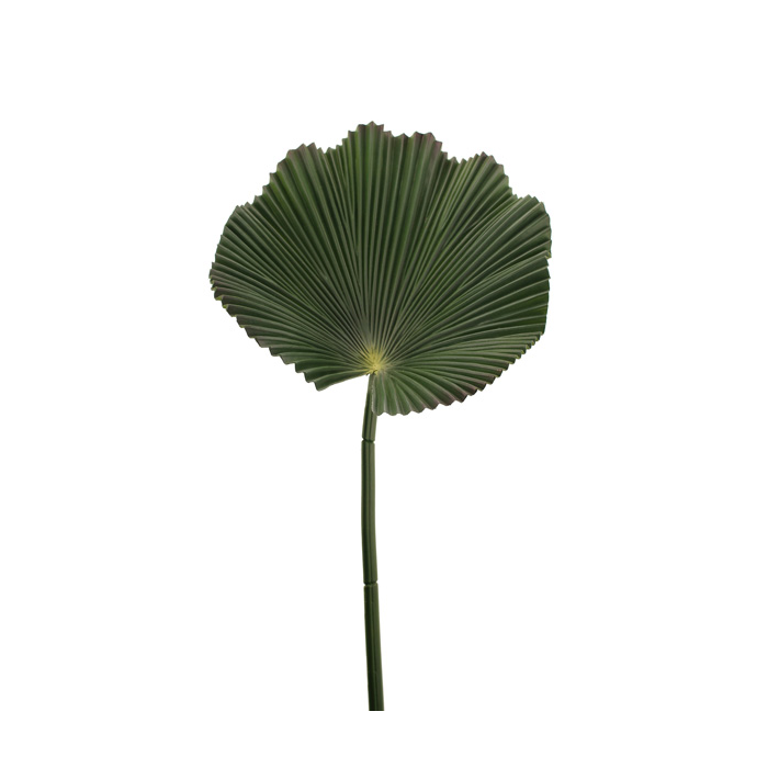 80cm Fan Palm Leaf