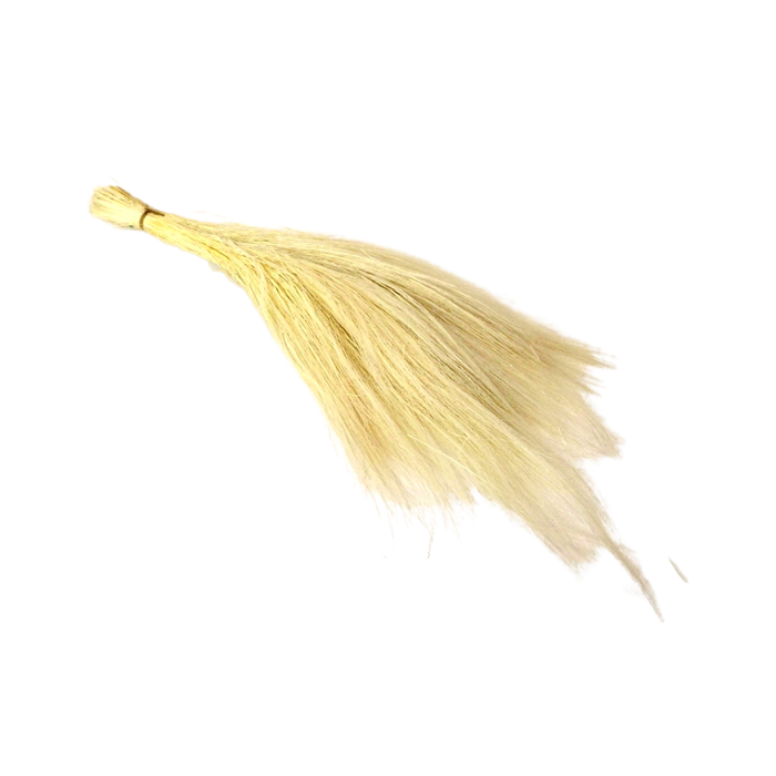 Preserved Barba White (App 100g)