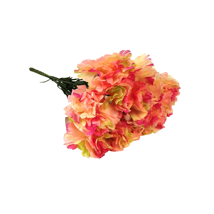 Bloom Carnations x 12 Stems Cerise