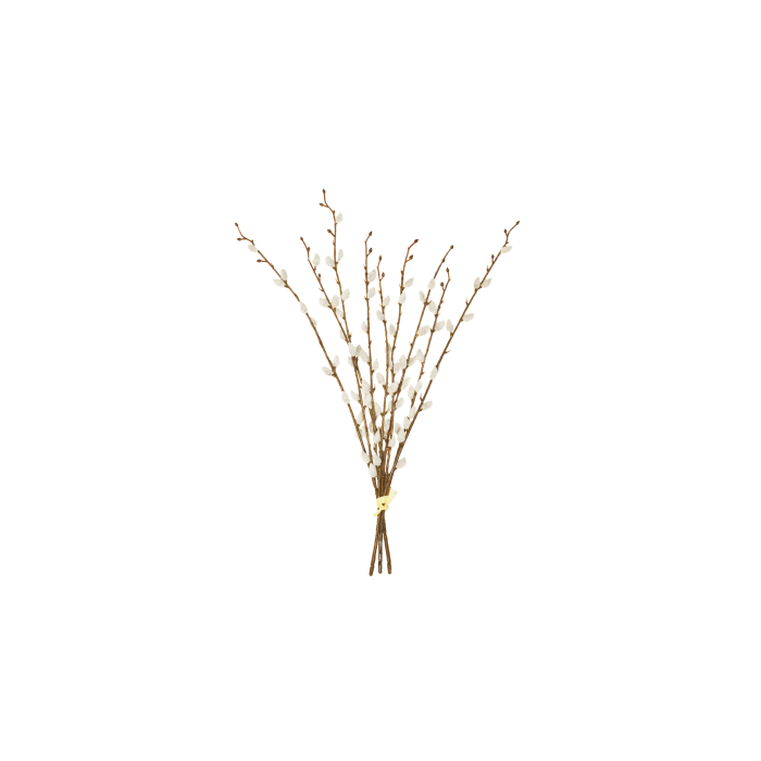 55cm Pussy Willow Hand Tied