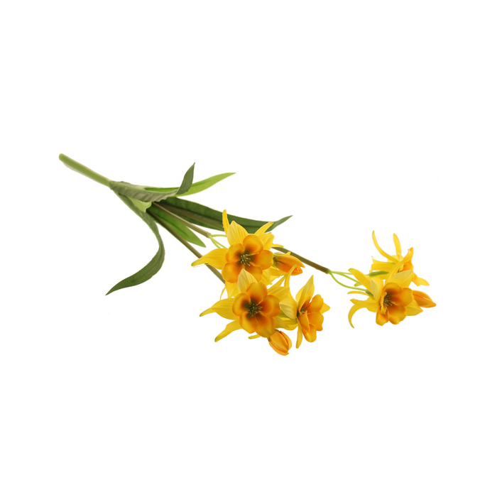 54cm Columbine Bush Yellow