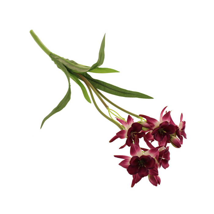 54cm Columbine Bush Burgundy