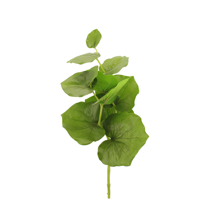 75cm Large Begonia Leaf Green