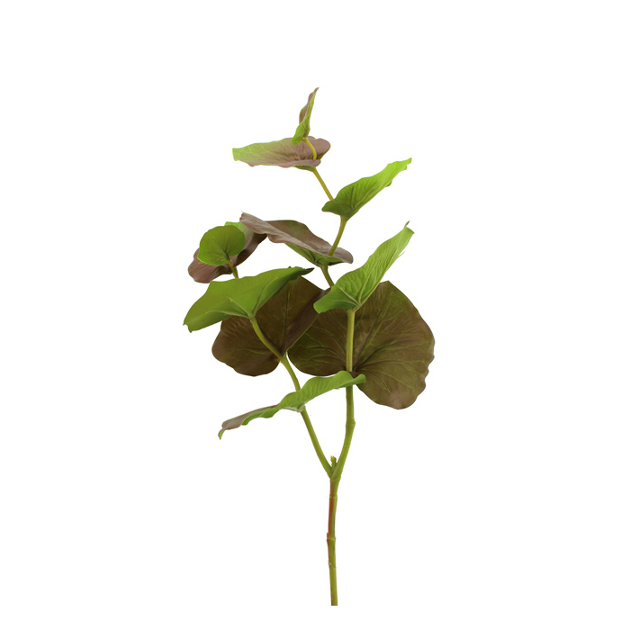 75cm Large Begonia Leaf Brown