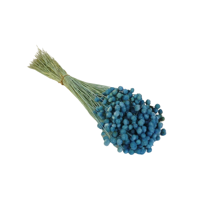 Amarelino Bunch App 50cm Blue