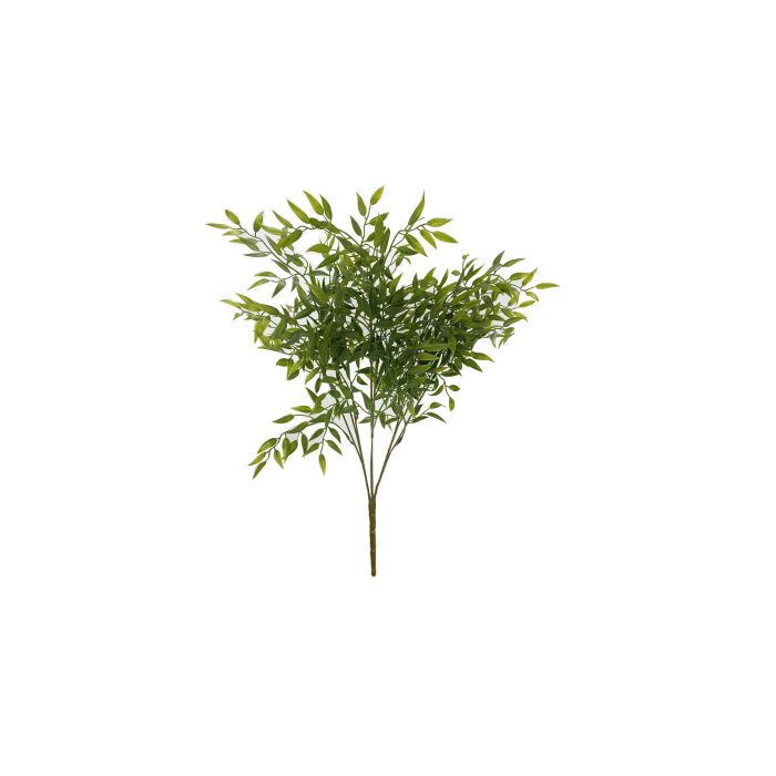 50cm Ruscus Bush