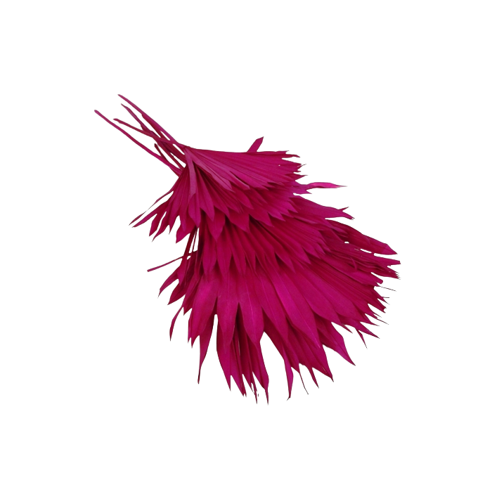 Sun Palm Hot Pink x 6pcs