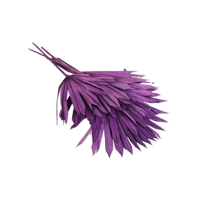 Sun Palm Lilac x 6pcs