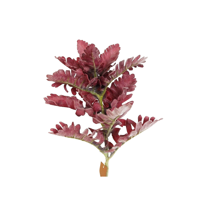 42cm Dusty Miller Pick Burgundy