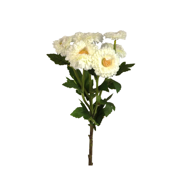 56cm English Daisy Spray Cream
