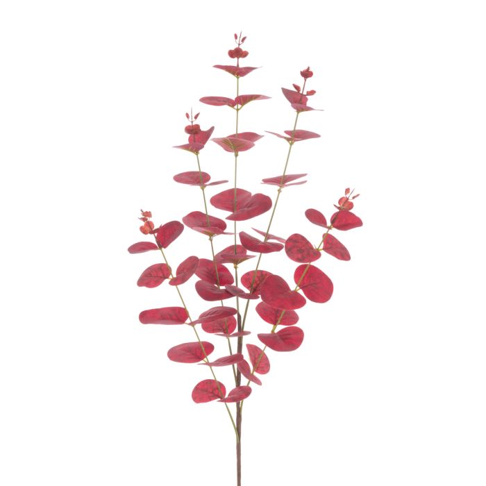 Eucalyptus W/Berries Spray 74cm Burgundy