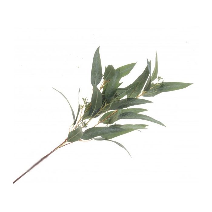 Eucalyptus Nicolii Spray 84cm Green
