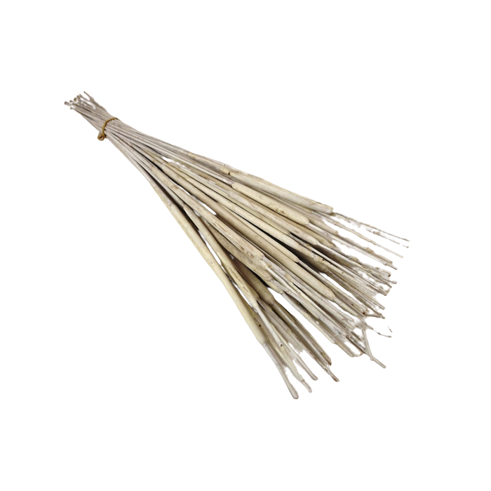 Typha Medium White x 50