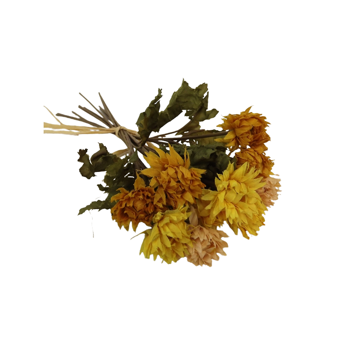 Vintage Strawflower Bundle 30cm Yellow