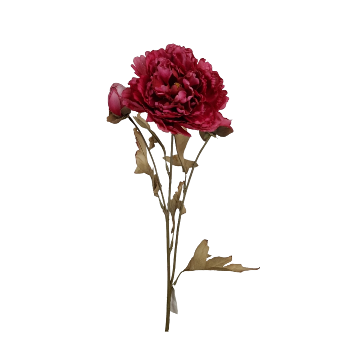 Vintage Oriental Peony Spray Fuchsia