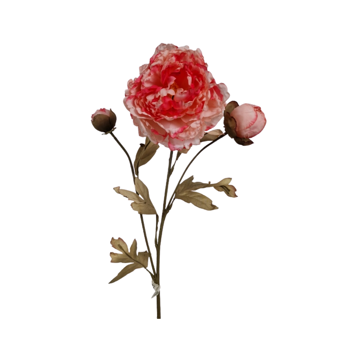 Vintage Oriental Peony Spray Light Pink