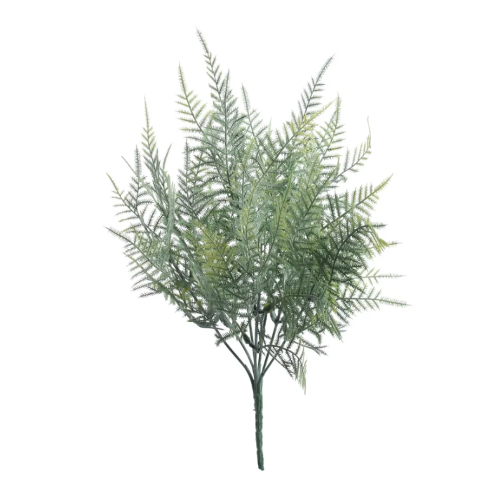 Asparagus Fern Bush (38cm)