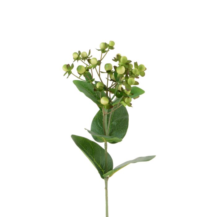 Hypericum 72cm Cream/Green