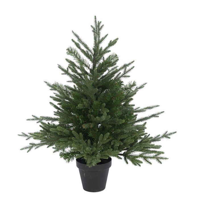 Newhaven Pine Potted 3'