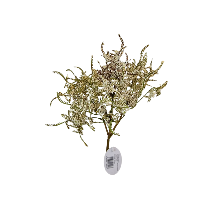 Limonium Bush Cream (45cm) Cream